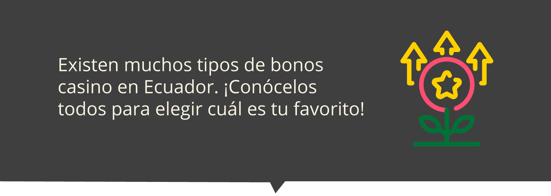 Bonos casino en Ecuador