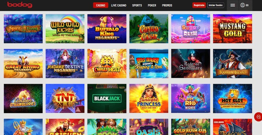 catalogo slots bodog